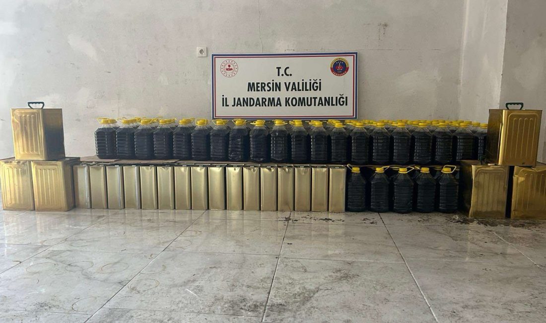 “JANDARMA’DAN SAHTE ZEYTİNYAĞI OPERASYONU